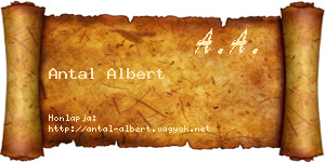 Antal Albert névjegykártya